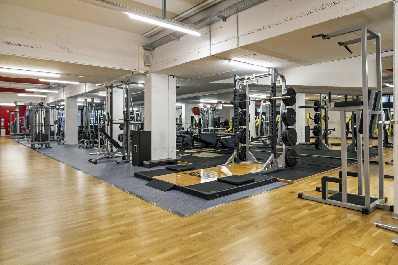 Boosting Visibility and Sales: A Comprehensive SEO Transformation for a Fitness Equipment Business